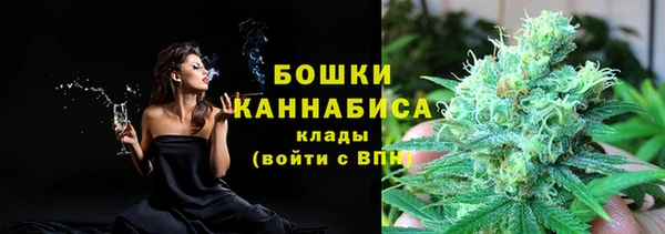 PSILOCYBIN Абдулино