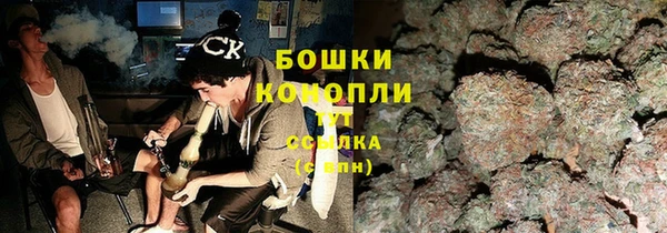 PSILOCYBIN Абдулино