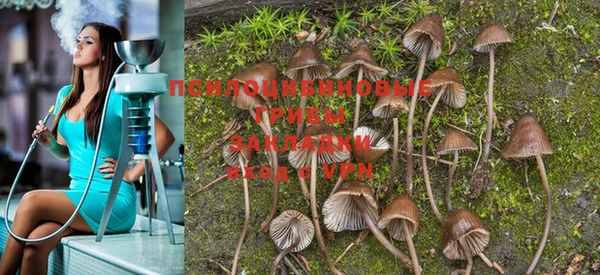 PSILOCYBIN Абдулино