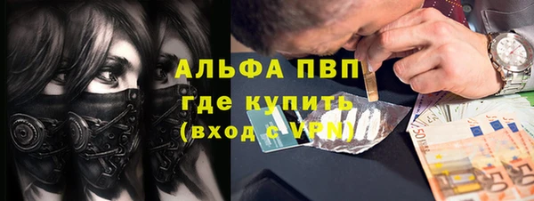 PSILOCYBIN Абдулино