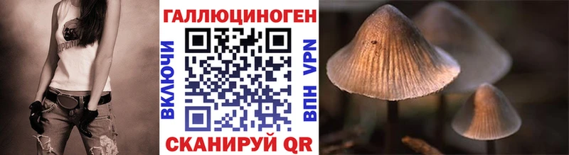 Галлюциногенные грибы Magic Shrooms  наркотики  мега ссылка  Копейск 