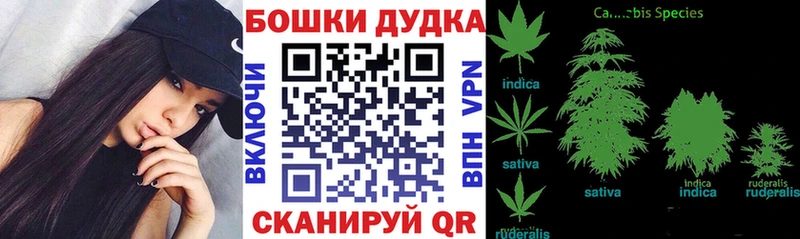 наркота  Копейск  Канабис ГИДРОПОН 